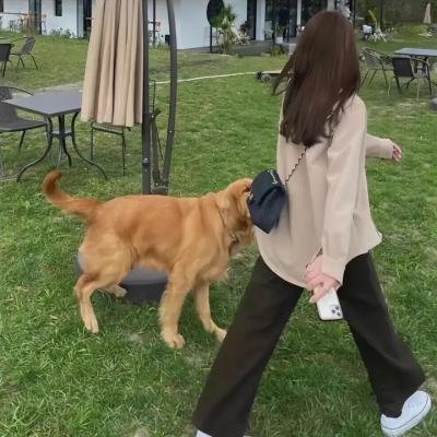 仙君有劫